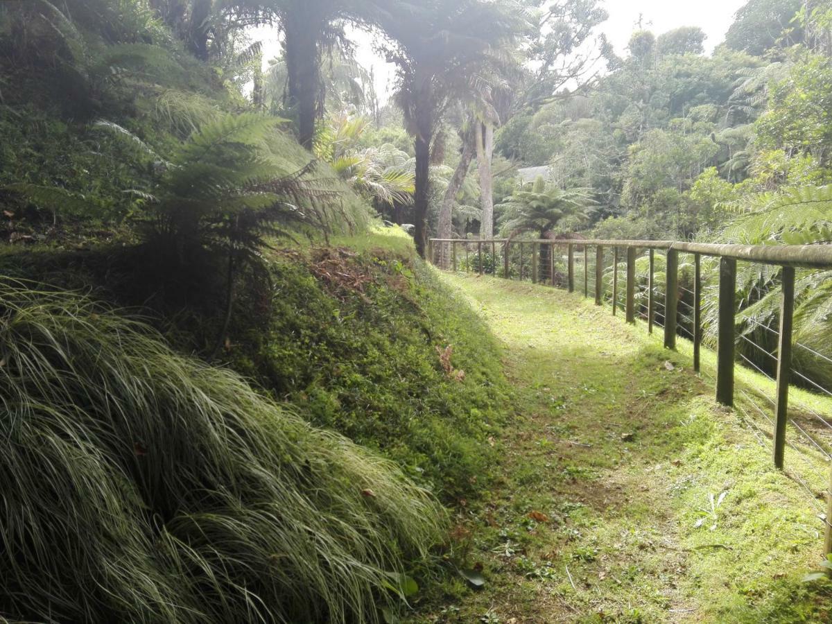 Taranaki Experience Apartment New Plymouth Ngoại thất bức ảnh